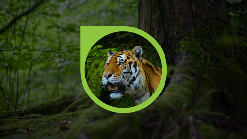 NEBOSH Environmental Management Certificate